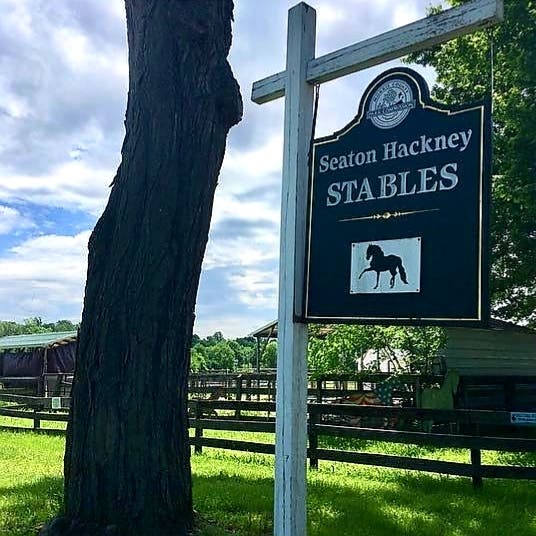 Seaton Hackney Stables