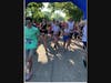 After an airhorn start, runners took off from the starting line to compete in their respective categories.