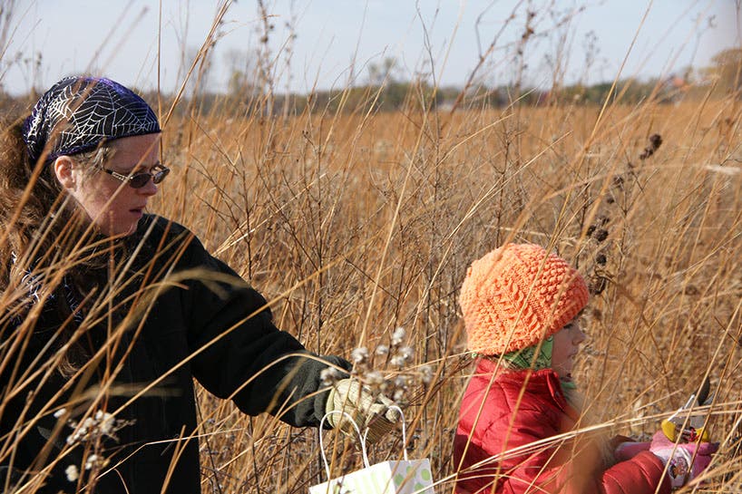Annual Prairie Seed Harvest