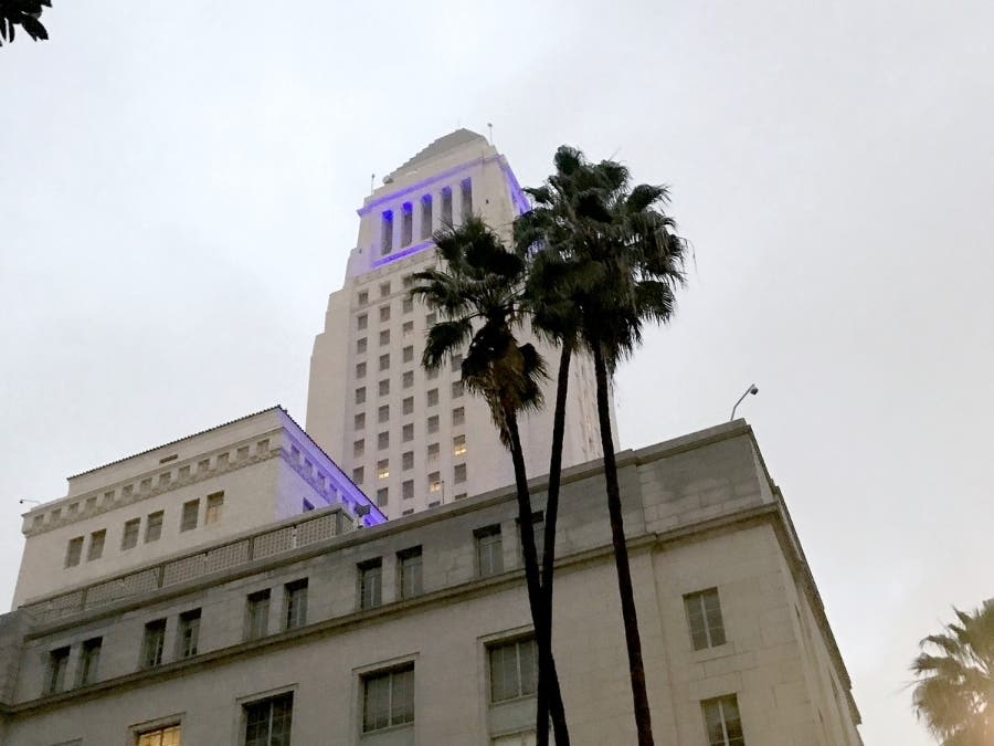 Two members of the LA City Council introduced a motion today seeking to reform the process by which LAPD officers are disciplined.