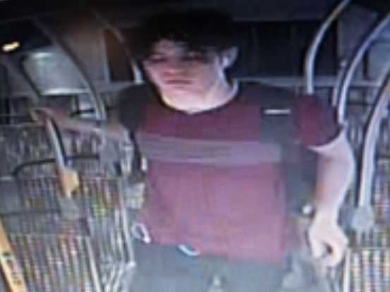 Manhunt Leads To Teen Suspect In Metro Bus Driver Stabbing | Northridge ...