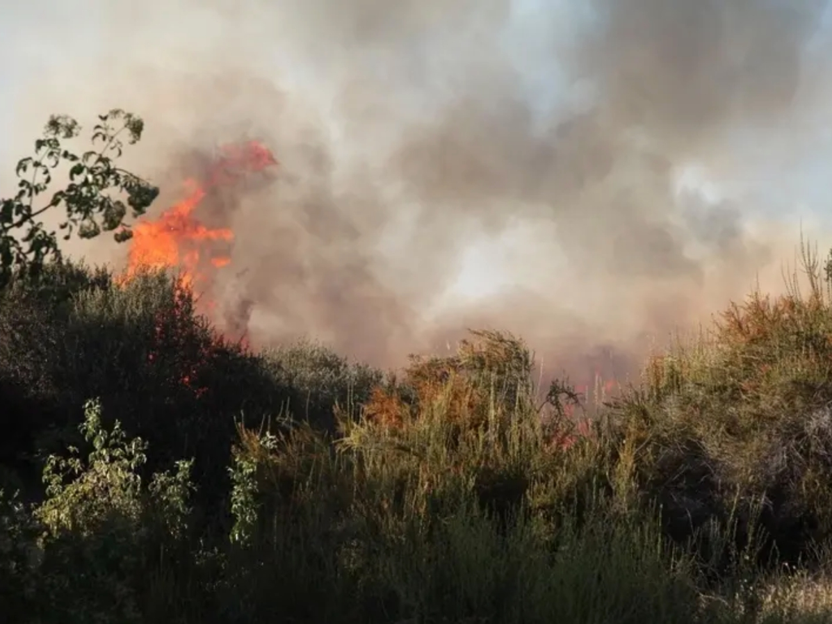 The Lemon Fire was first reported at 2:11 p.m. Saturday, according to the California Highway Patrol. A second alarm was requested at 2:44 p.m., according to the Los Angeles County Fire Department.