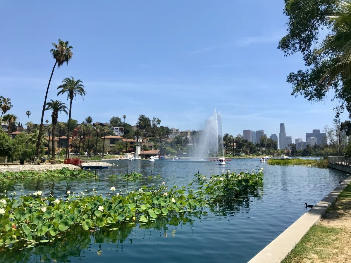 The special lighting will complement the illuminated night rides offered at Echo Park Lake, located near Dodger Stadium.