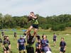 Impala Line Out