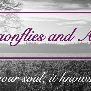 Dragonflies & Amber