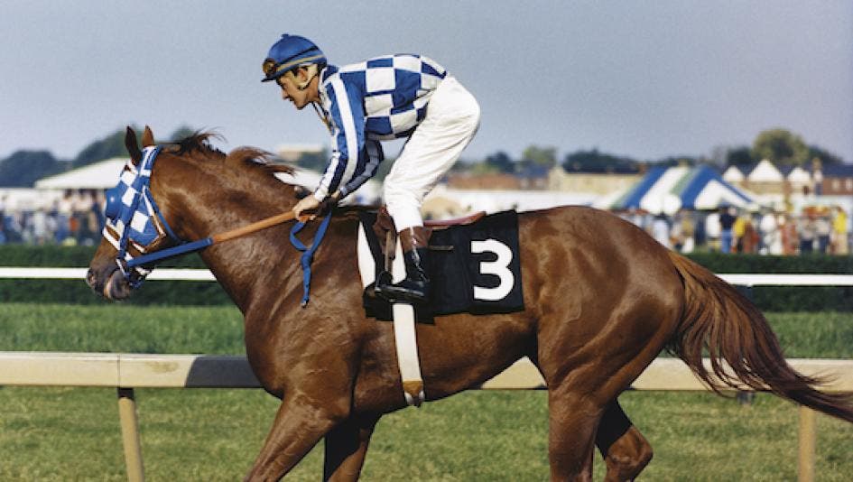 City of Baltimore: 153rd Anniv. (1873-2026) of the 1st Preakness Stakes at Pimlico, Survivor Wins