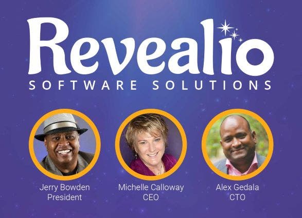 Revealio Software Solutions Image