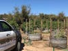 Authorities seized more than 12 tons of illegally grown marijuana Monday morning from a property in the unincorporated community of Anza, the Riverside County Sheriff's Department said.