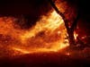 Wind whips embers from a tree as the Kincade Fire burns in unincorporated Sonoma County, California on Thursday.