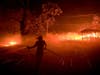 Susi Weaver, the manger for the Hawkeye Ranch in the Mayacamas Mountains above Geyserville, Calif., sprays down the dry brush as the the Kincade fire delivers firebrands across the property, Thursday, Oct. 24, 2019.