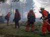 Firefighters from Holton Fire Camp 16 work to contain the Tick fire behind a residential home in the Santa Clarita area of Los Angeles, Calif. on Thursday, Oct. 24, 2019