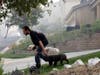 A residence evacuates with his dogs as a wildfire approaches Thursday, Oct. 24, 2019, in Santa Clarita, Calif.