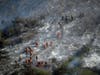 Hand crews work a wildfire-damaged hillside as the Getty fire burns on Mandeville Canyon on Monday in Los Angeles.