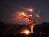 A meteor streaks across the sky as gusty winds create an ember cast on a valley oak tree burned by the Kincade fire, early Wednesday morning, Oct. 30, 2019, in Knights Valley east of Healdsburg, Calif. 