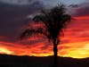 Patch reader and photographer Tim Yeager captured these Lake Elsinore sunset photographs in Tuscany Hills in the last week.