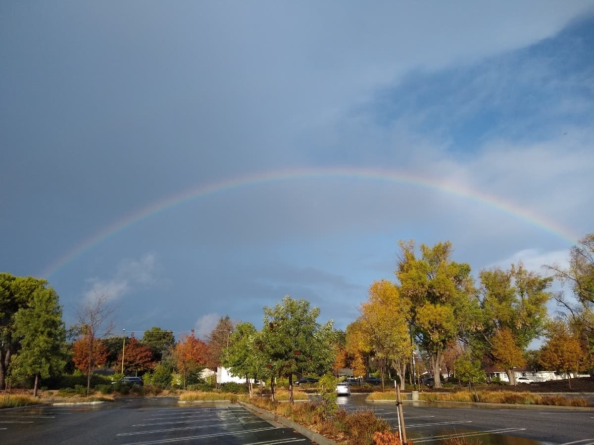 Patch reader Michelle Salgado shared this photo taken ​recently off San Antonio Road in Mountain View, in the former Hewlett-Packard parking lot.