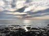 Patch reader Rebekah Miramontes​ shared these photos taken Friday at Moss Beach.