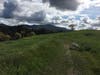 Patch reader Christine O'Brien​​ shared these photos taken this week at Sugarloaf, San Bernardino County.