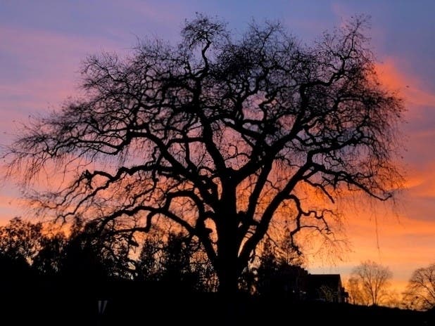 Patch reader Bobbi Carrillo shared this photo taken recently of a sunset in Downtown Clayton.​