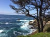 Patch reader Cheryl Sommers​ shared these photos taken recently during a drive up Highway 1, north of Timber Cove in Sonoma County.​