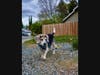 Patch reader Connie Marshall-Birdsong snapped these photos during a recent walk around the block in Citrus Heights.​