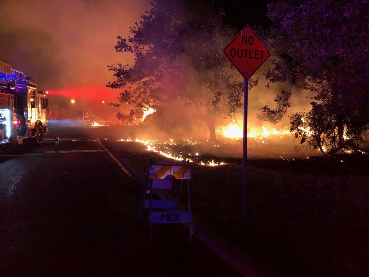 A brush fire in Newark was one of dozens reported overnight in Alameda County.