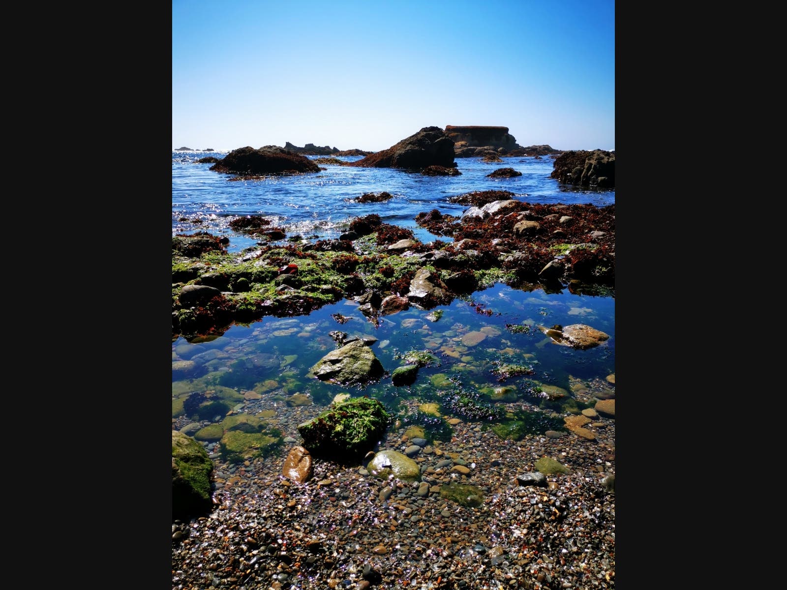 Patch reader Annie Wang shared this photo taken recently at Glass Beach in Fort Bragg.