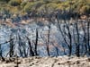 Wildland firefighters work a line to douse hotspots along Avenida Miravailla during the Apple fire looms on August 1, 2020 in Cherry Valley, California.