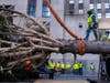 For nearly 90 years, a tree has stood in Rockefeller Center every Christmas. The first iteration was in 1931, conceived by construction workers building Rockefeller Center.