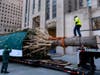 The tree will be adorned with more than 50,000 multicolored LED lights and topped with a star designed by the architect Daniel Libeskind, weighing 900 pounds and covered in 3 million crystals.