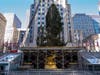 The 11-ton, 75-foot-tall Norway Spruce was hoisted by a crane from its flatbed trailer Saturday morning and suspended in midair before being placed delicately in front of 30 Rockefeller Plaza.