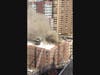 The fire was first reported around 3:38 p.m. at 303 East 37th St., on the top floor of the six-story building near Second Avenue, the FDNY said.