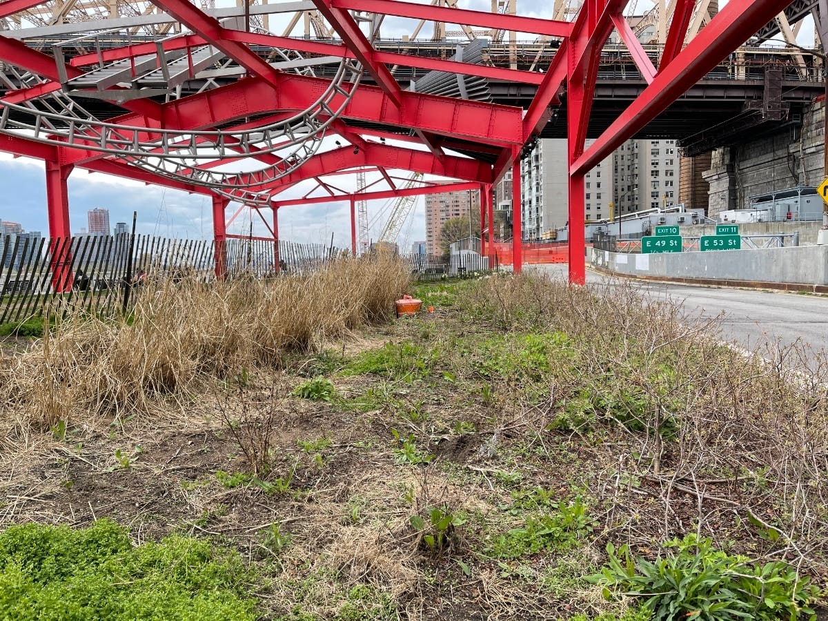 The patchy lawn under the East River 60th Street/Alice Aycock Pavilion, pictured on April 19. An Upper East Side community board wants the city to improve its irrigation as part of an upcoming renovation.