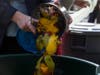 Attendees disposed of food waste Wednesday to mark the opening of the Dag Hammarskjöld Plaza drop-off site.
