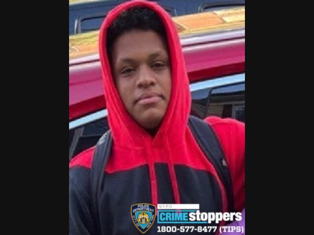 Teen Boy, 15, Goes Missing From Queensbridge Houses: Police | Astoria ...