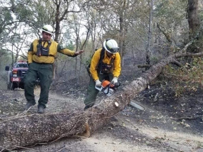 Crews from 31 Washington fire departments are assigned to several wildfires burning in California.
