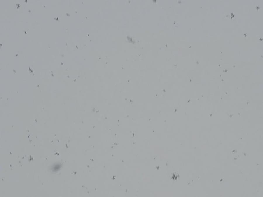 The National Weather Service said a band of precipitation that brought snowflakes to Seattle Wednesday afternoon was not expected to bring notable accumulations. 