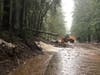Several landslides blocked roads leading to Mount Rainier Thursday, as urban flooding concerns continued throughout Pierce County.