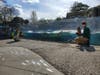 Animal handlers practice social distancing at Woodland Park Zoo on March 24, 2020.