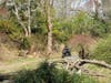A gorilla catches some sunlight during a break in the clouds at Woodland Park Zoo on March 24, 2020.