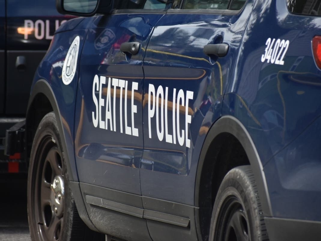 Seattle police cited the woman's Facebook activities in a court filing alleging she hit bicycle officers with an SUV Monday night.