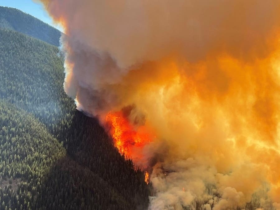 Federal assistance will help pay for continued firefighting efforts at the Cedar Creek Fire, burning in Okanogan County.