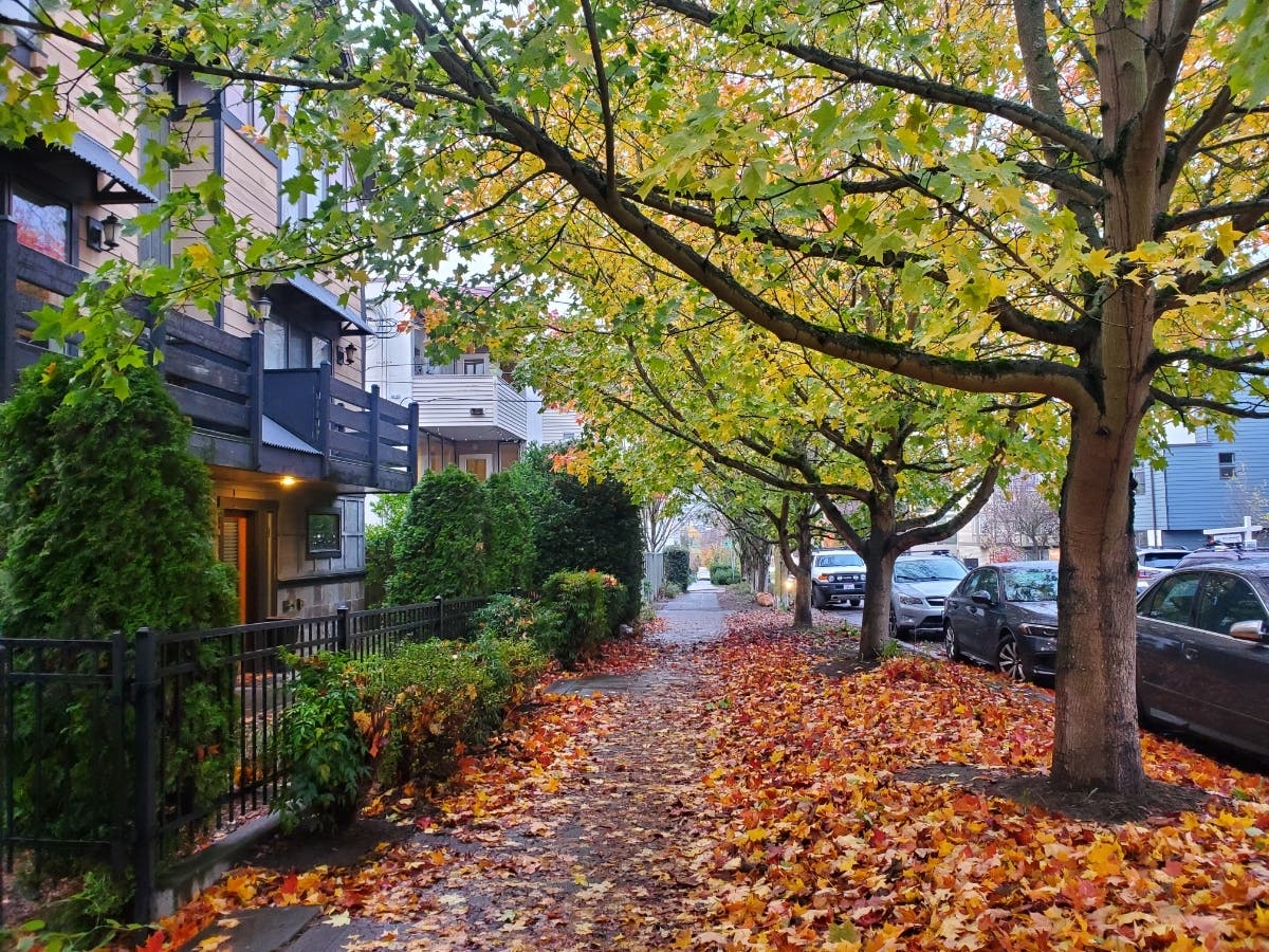 Wednesday should be a lot less action-packed than the day before, but plenty of storms are headed our way. 