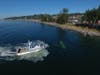 A pilot safely swam to shore Tuesday afternoon after crashing a Cessna 150 into Puget Sound near Alki Point in Seattle.