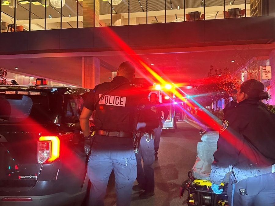 Rock-Throwing Vandal Arrested After Kicking Officers, Nurse: Police ...