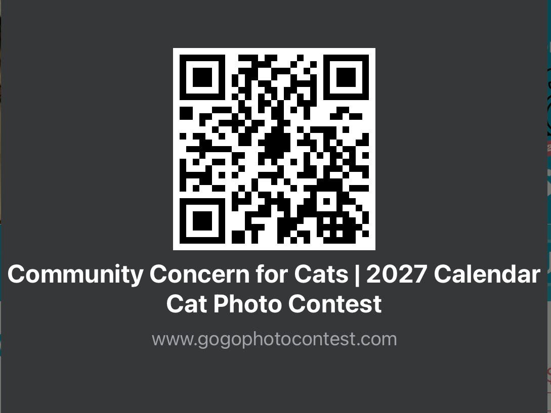 Community Concern for Cats Calendar Photo Contest Fundraiser