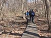 Somewhere along the trail
