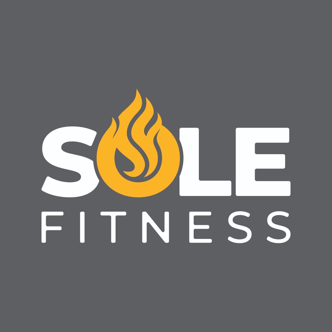 SOLE Fitness