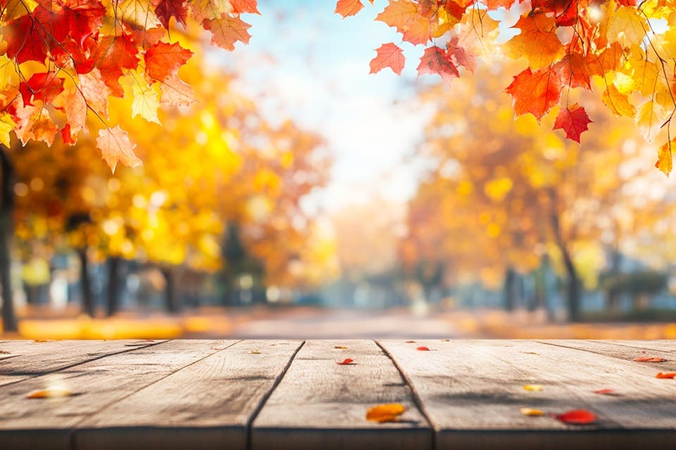Mindfulness Nature Walk