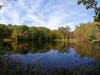 Weir Farm Landscape by Xiomaro